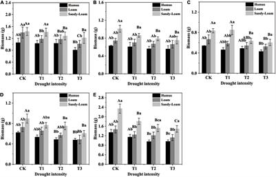 Differential Variation in Non-structural Carbohydrates in Root Branch Orders of Fraxinus mandshurica Rupr. Seedlings Across Different Drought Intensities and Soil Substrates